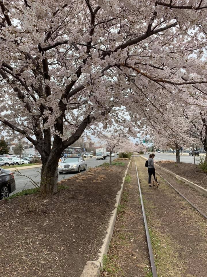 d0269832_06555091.jpeg