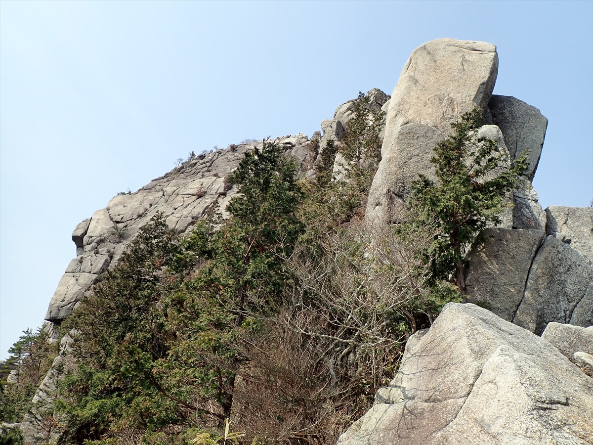 f0348933_19483019.jpg