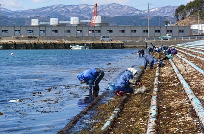 旧暦3月3日の浜一般開放に行ってきたのだ！_c0259934_09210736.jpg