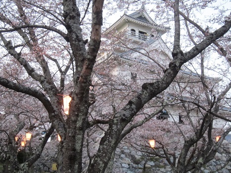 雪と桜_b0177436_22424728.jpg