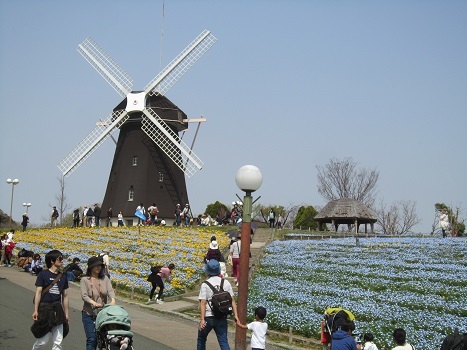 雪と桜_b0177436_23062139.jpg