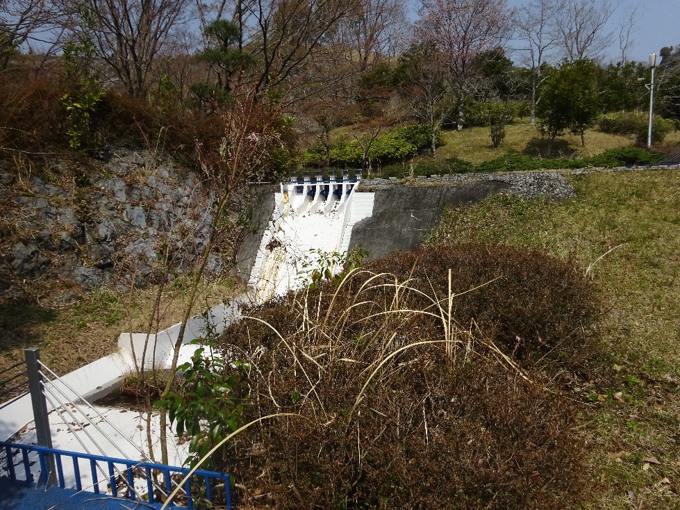 d0378837_10163230.jpg