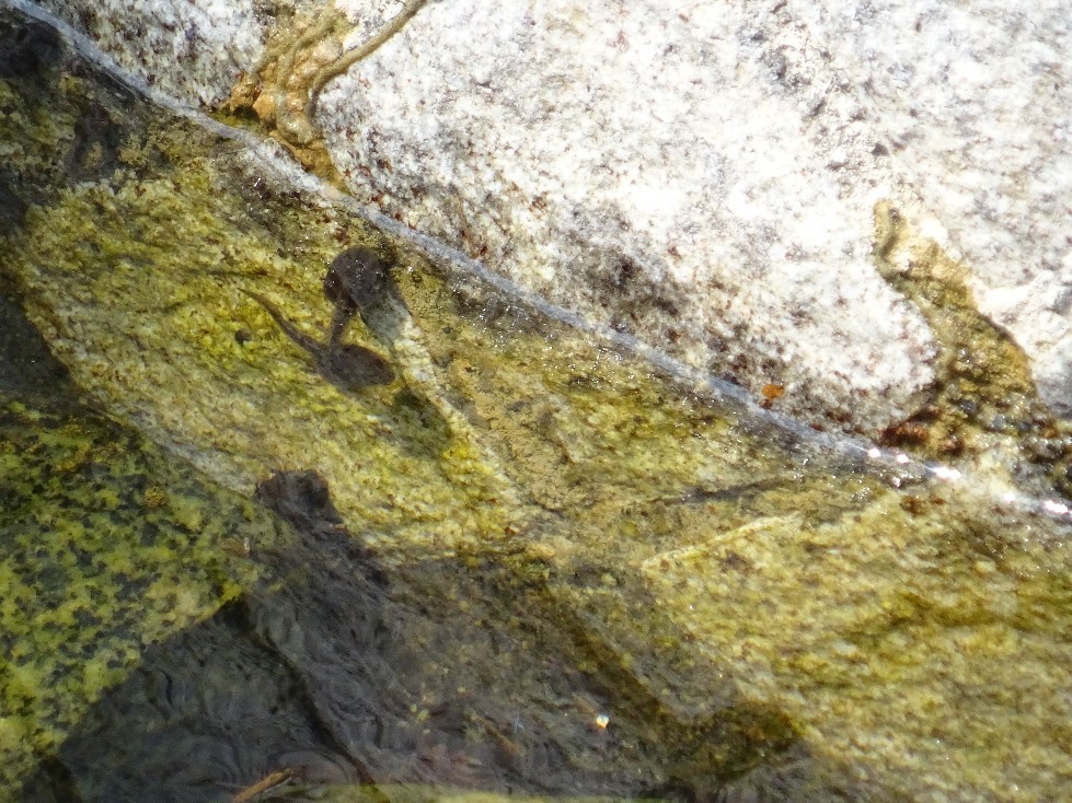 d0378837_10222345.jpg