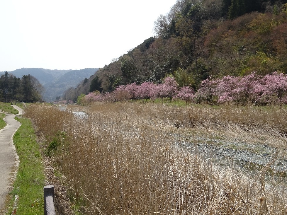 d0378837_11223392.jpg