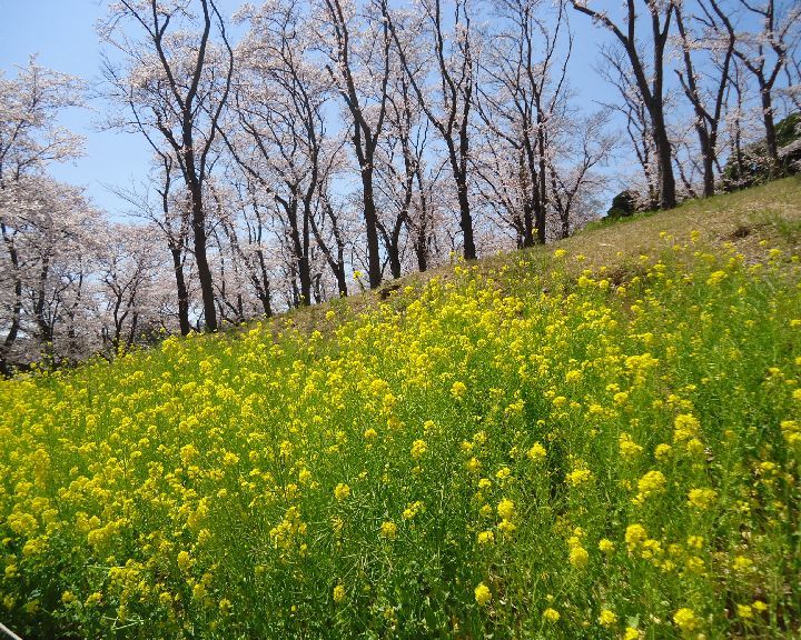 d0380237_04574951.jpg