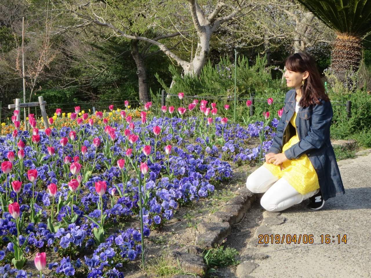 東山植物園  桜の回廊を散策しました！_f0373339_02100599.jpg