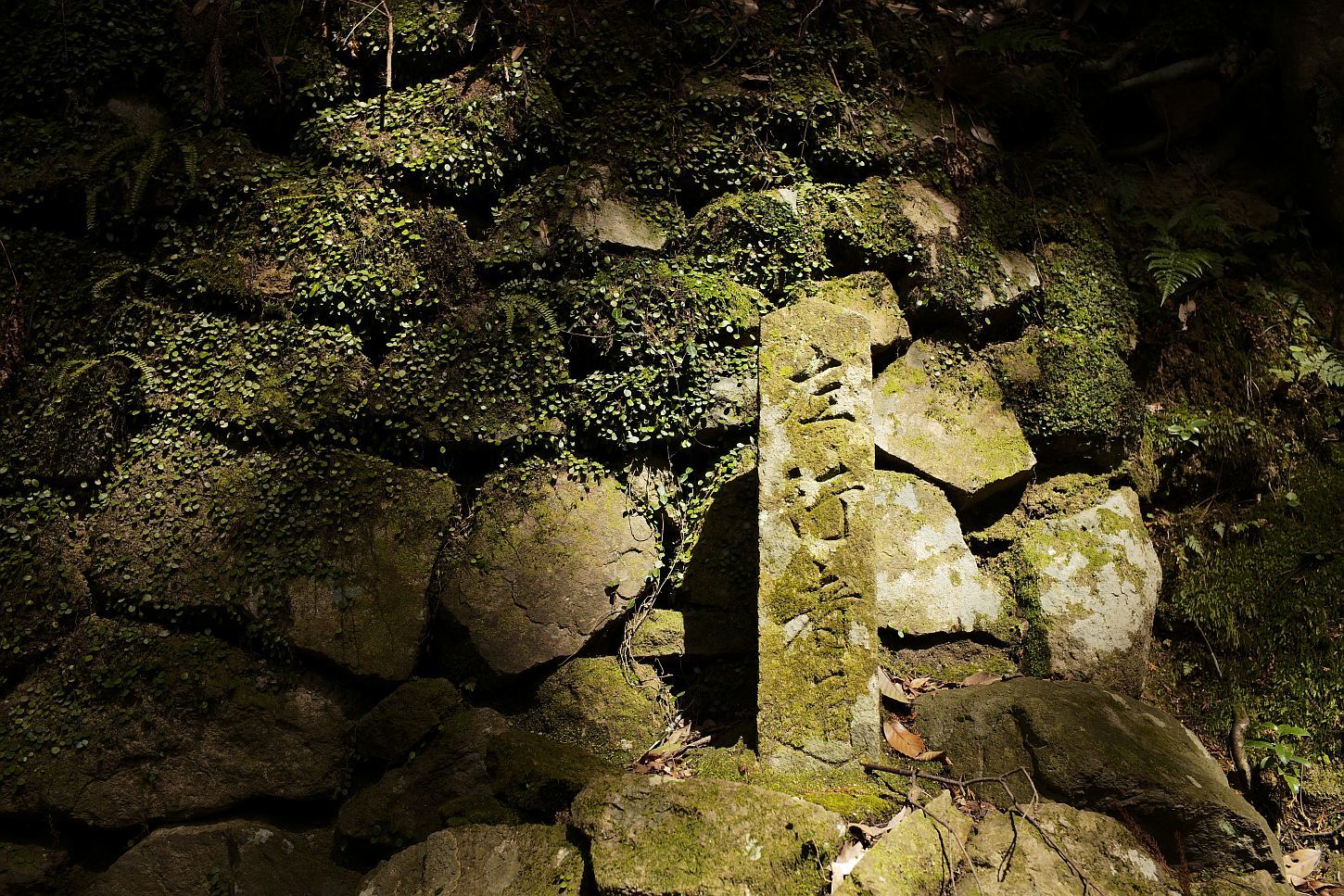 【重要文化財・史跡|円教寺】 建造物解説と画像 (兵庫県)_b0212342_15362097.jpg