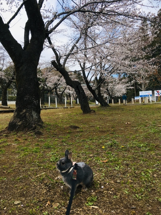 c0182843_10554147.jpeg