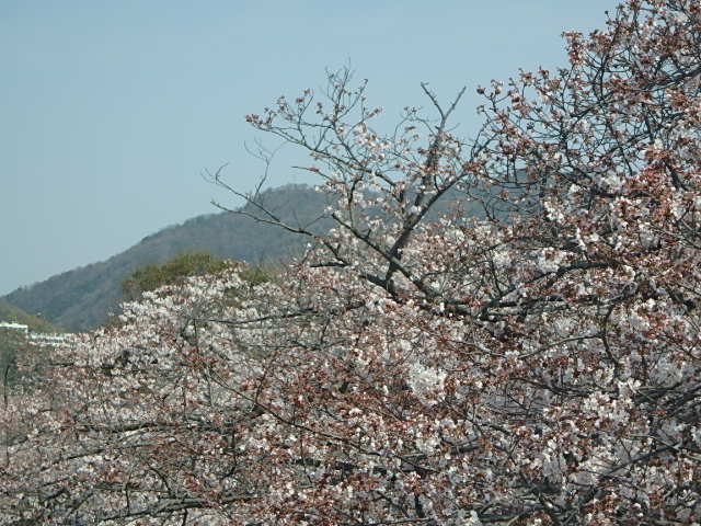 f0334143_2172327.jpg