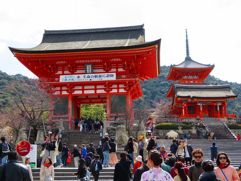 清水寺の賑わい20190331_e0237645_19052597.jpg