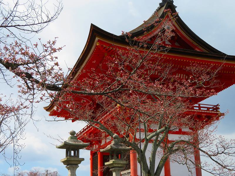 清水寺の賑わい20190331_e0237645_19052613.jpg