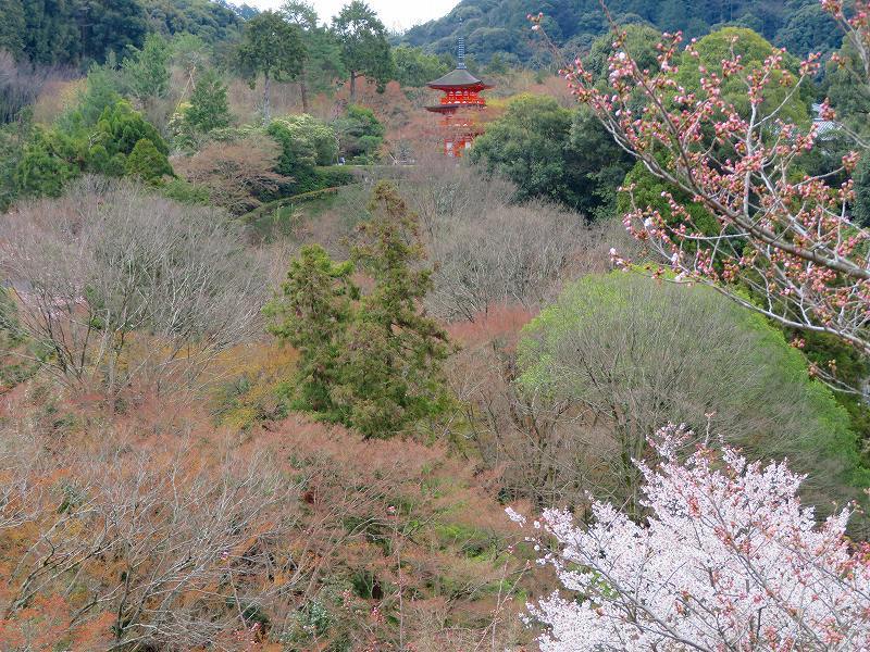 清水寺の賑わい20190331_e0237645_19061639.jpg