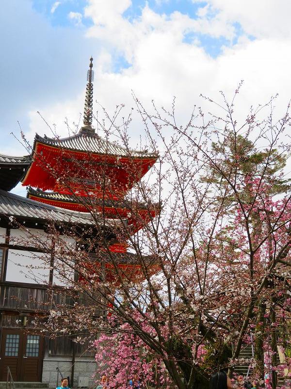 清水寺の賑わい20190331_e0237645_19061701.jpg