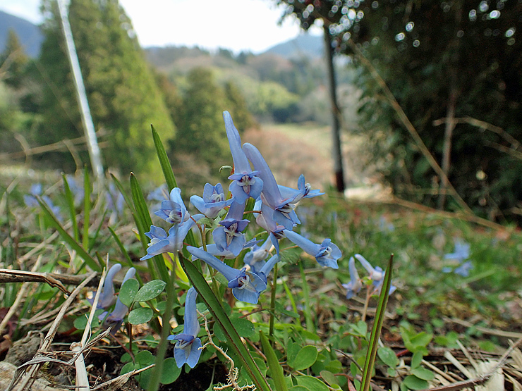f0214649_03553168.jpg