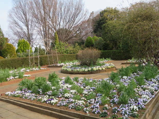 春の花とドット遊びの活花_f0329849_16364087.jpg