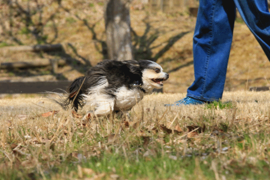 c0145250_09025800.gif