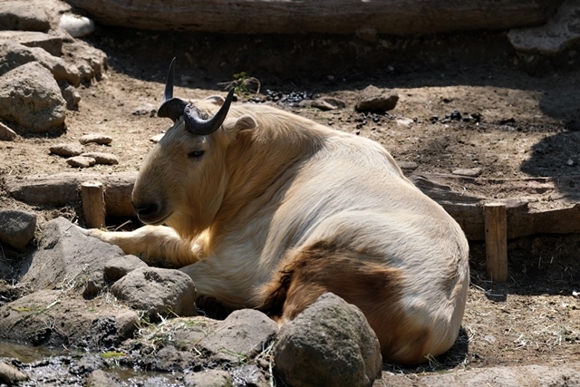 d0356852_20002449.jpg