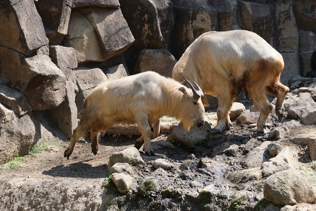 d0356852_20030859.jpg