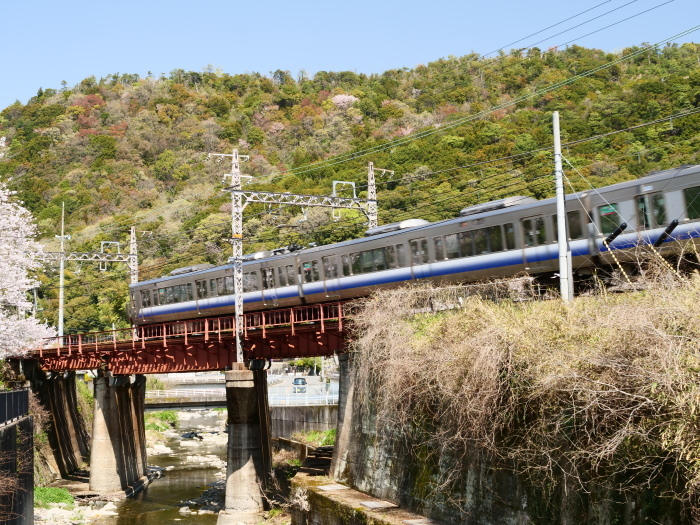 　　花と鉄道　　２０１９-０４-１２　００：００ 　　_b0093754_21562938.jpg