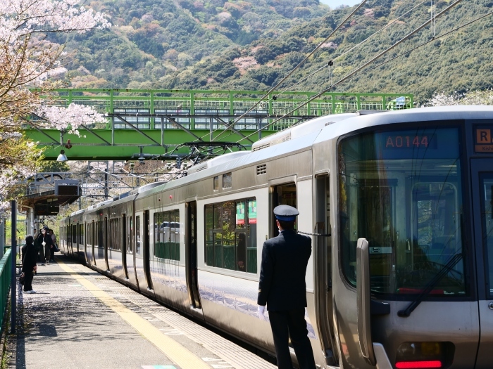 　　花と鉄道　　２０１９-０４-１２　００：００ 　　_b0093754_21573232.jpg