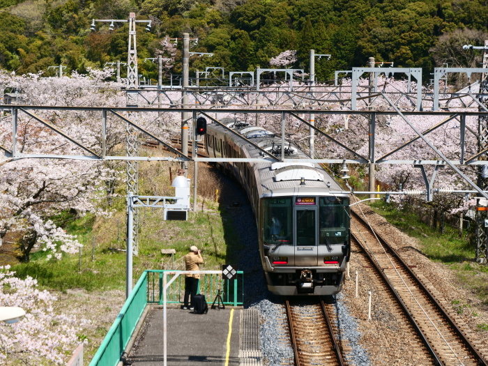 　　花と鉄道　　２０１９-０４-１２　００：００ 　　_b0093754_21574424.jpg