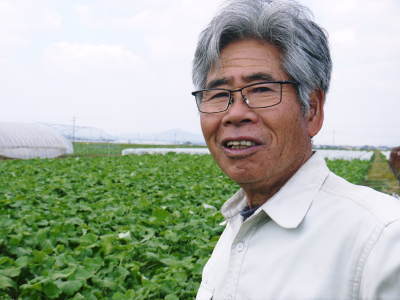 熊本産高級イチゴ『完熟紅ほっぺ』お急ぎ下さい!美味しさへのこだわりゆえの4月中旬までの出荷です!_a0254656_17335370.jpg