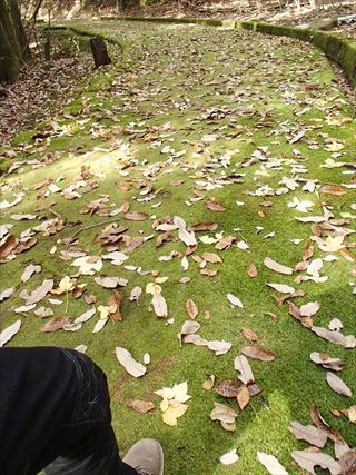 広島県　吉田郡山城　１００名城 山陽道編_e0044657_20591311.jpg