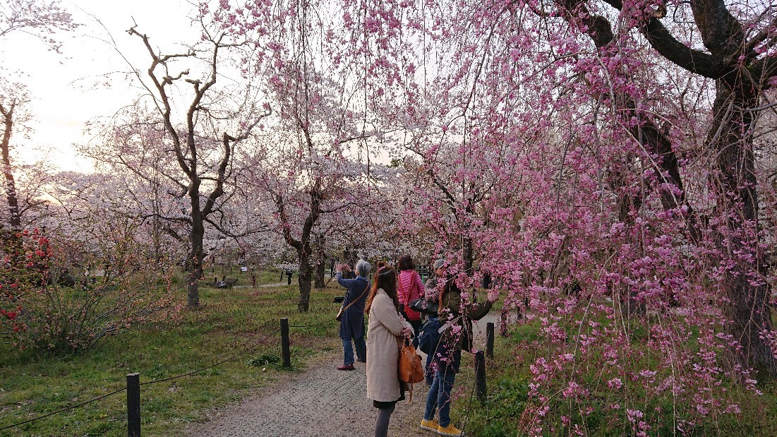 京都府立植物園_b0352459_13373762.jpg