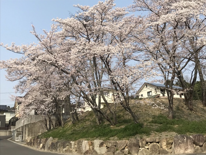 おだやかな毎日_b0100062_20051873.jpeg