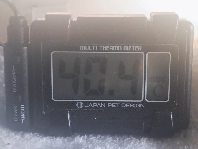 c0105569_01552826.jpg