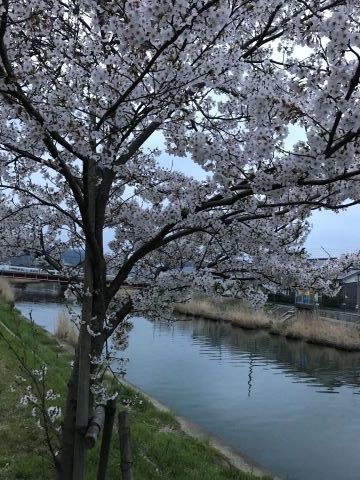 笑顔でお店を手伝って、奇跡が起きた春樹。_f0009169_08141160.jpg