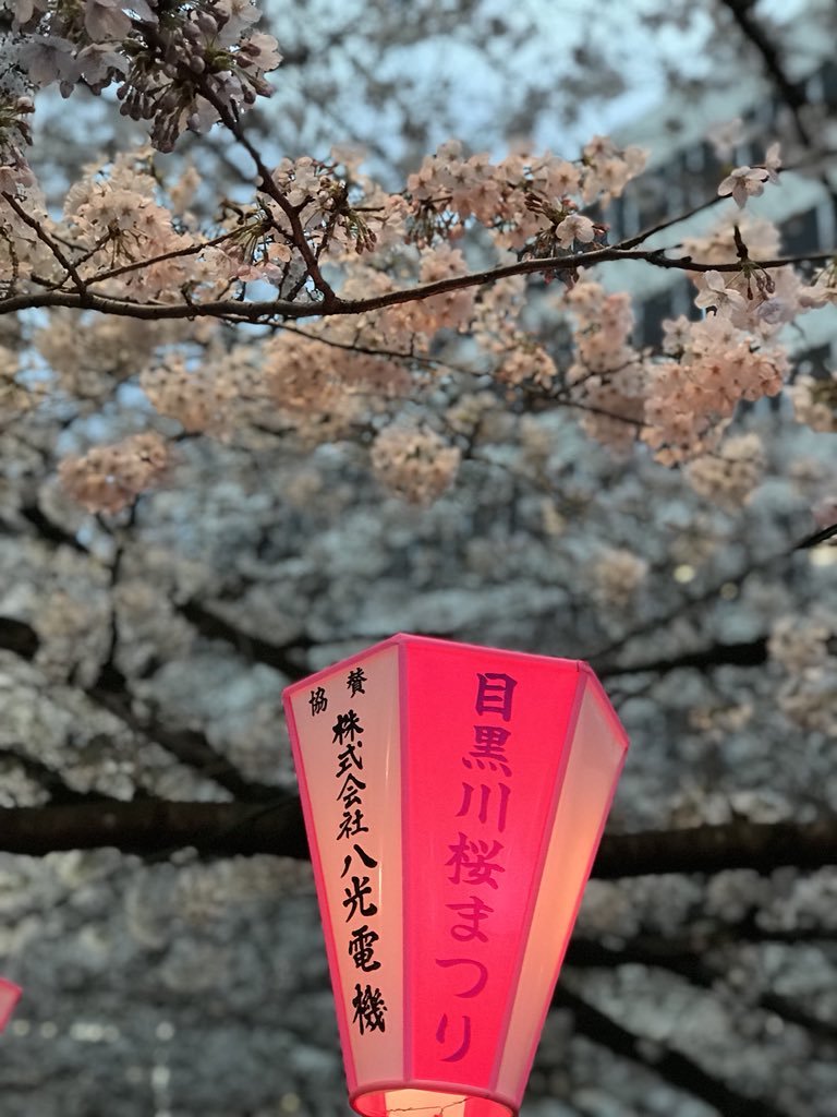 井 の 中 の 蛙 大海 を 知らず されど 空 の 青 さ を 知る