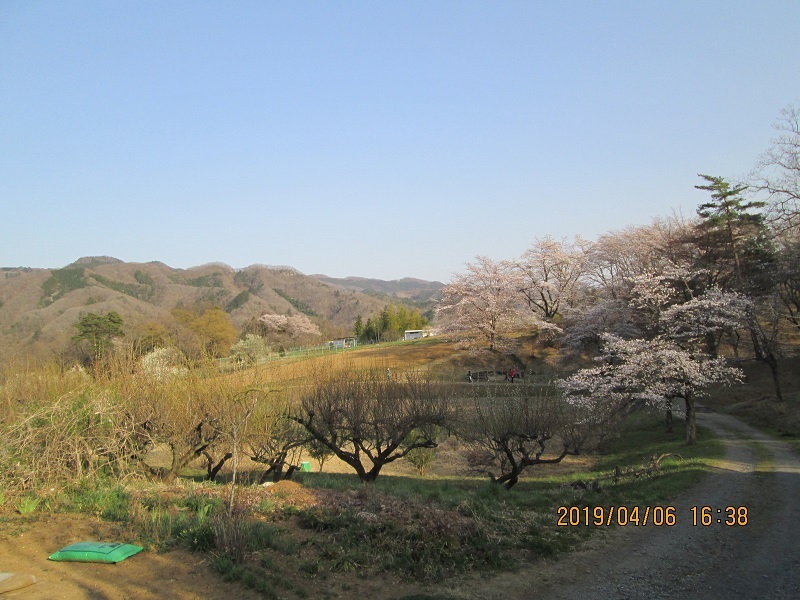 秩父長瀞　北桜通り　花見の里　野土山_b0046473_10405462.jpg