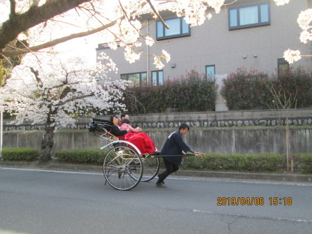 秩父長瀞　北桜通り　花見の里　野土山_b0046473_10471959.jpg