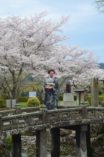 満開の桜と振り袖^^_d0230676_11361847.jpg