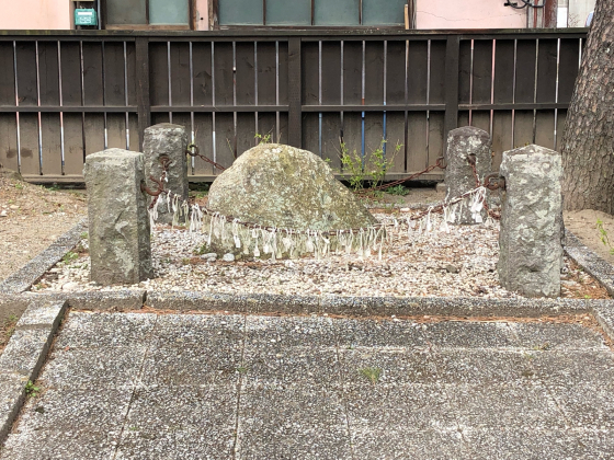 勝手に桜ツアー 白石散歩アプリコース①_e0355177_19392712.jpg