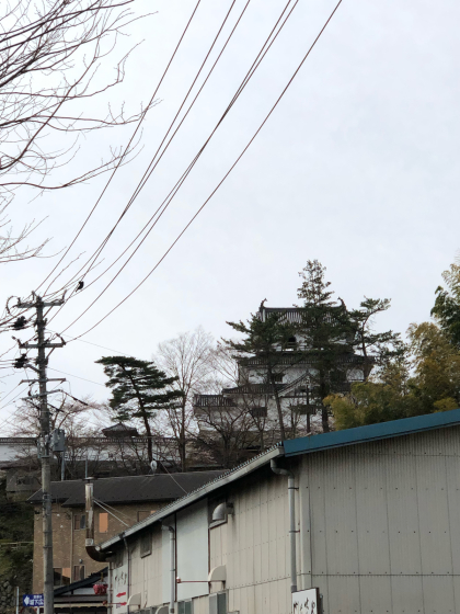 勝手に桜ツアー 白石散歩アプリコース①_e0355177_19542477.jpg