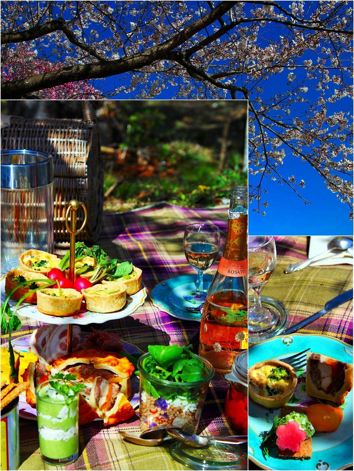 Ohanami picnic_a0107981_16322104.jpg