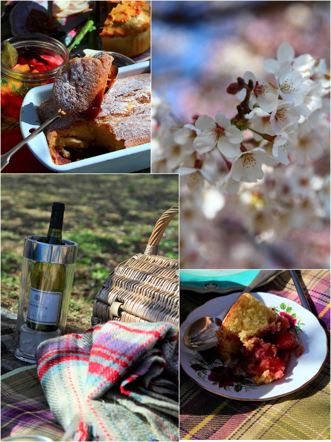 Ohanami picnic_a0107981_16323774.jpg