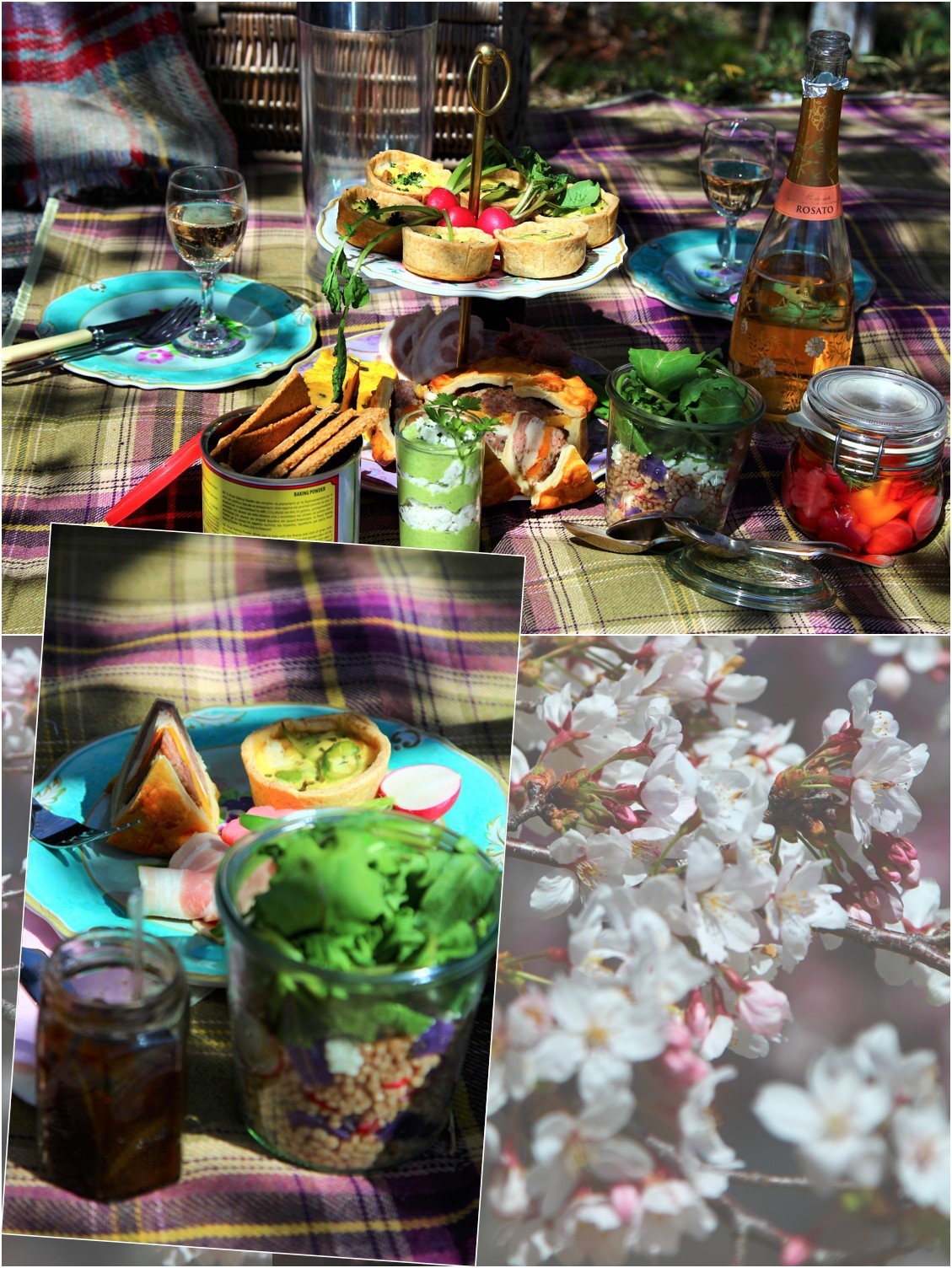 Ohanami picnic_a0107981_16323787.jpg