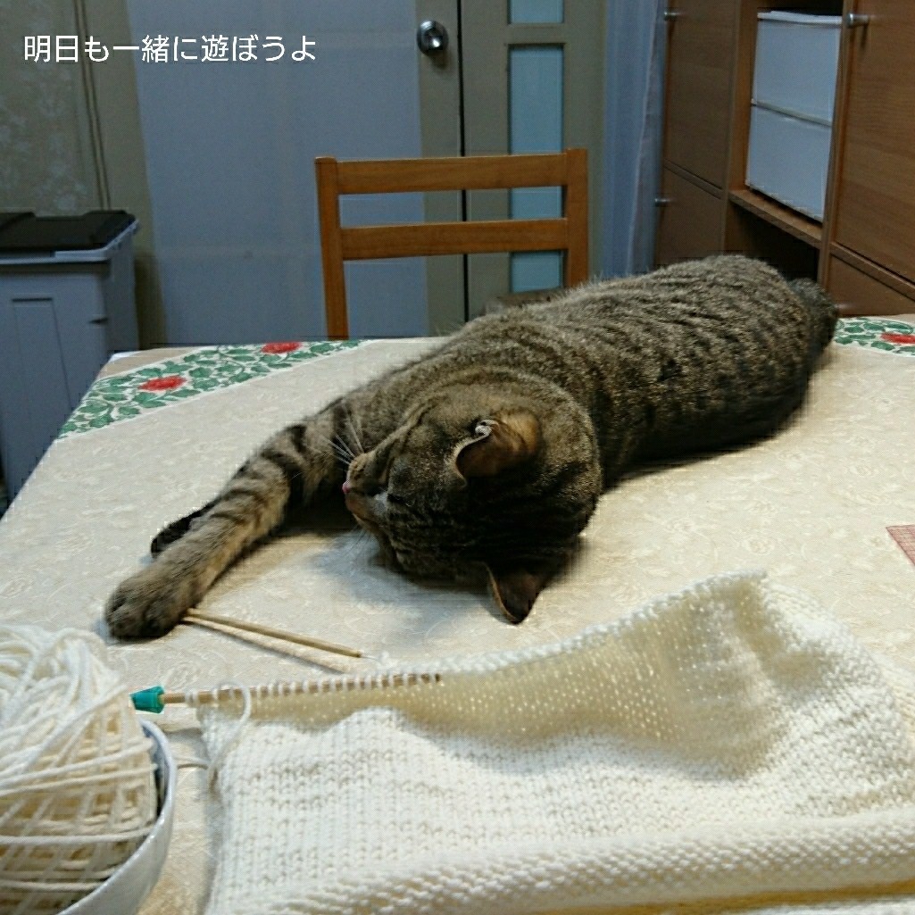 b0239781_03245674.jpg