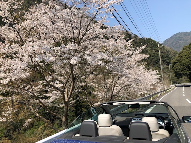 剣山〜高知市（桂浜）〜石槌付近〜松山市〜の周回_f0333882_12182840.jpg