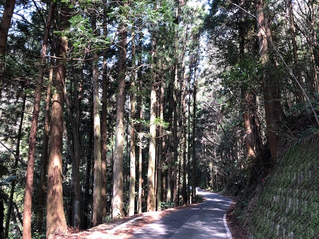 剣山〜高知市（桂浜）〜石槌付近〜松山市〜の周回_f0333882_12192918.jpg