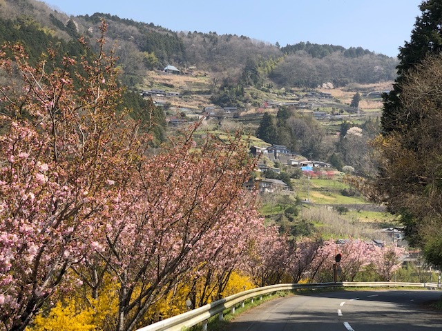 剣山〜高知市（桂浜）〜石槌付近〜松山市〜の周回_f0333882_15311970.jpg