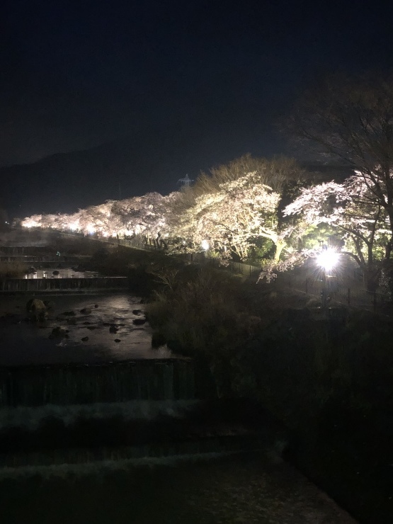 b0098584_20101927.jpeg