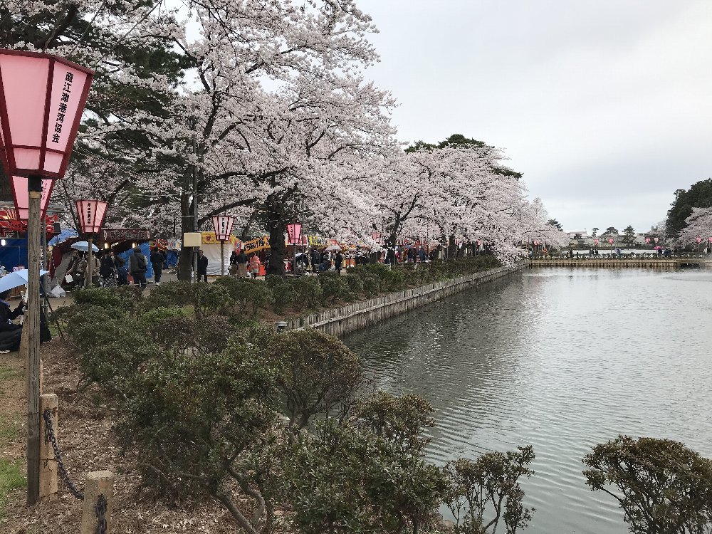 高田公園の桜！_e0065084_1910623.jpg