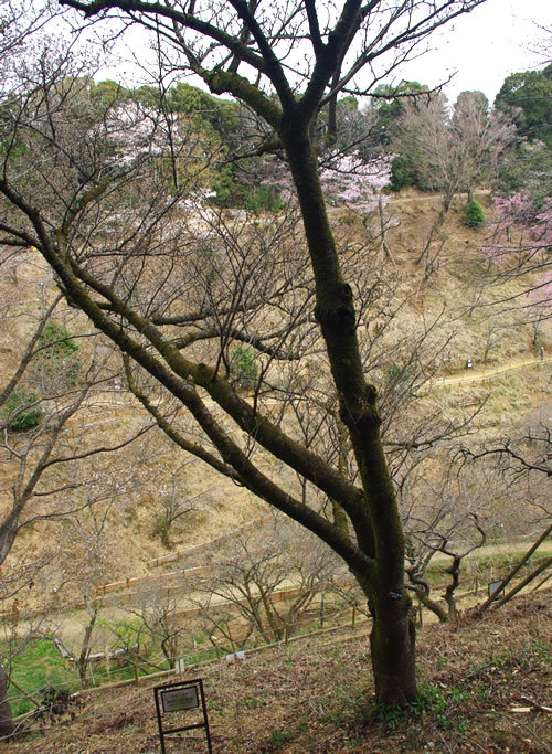 b0123486_07022430.jpg