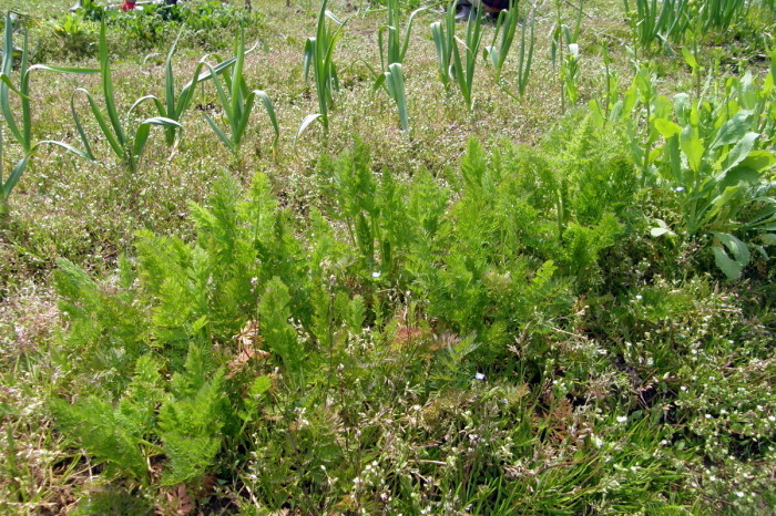 c0057390_19523091.jpg