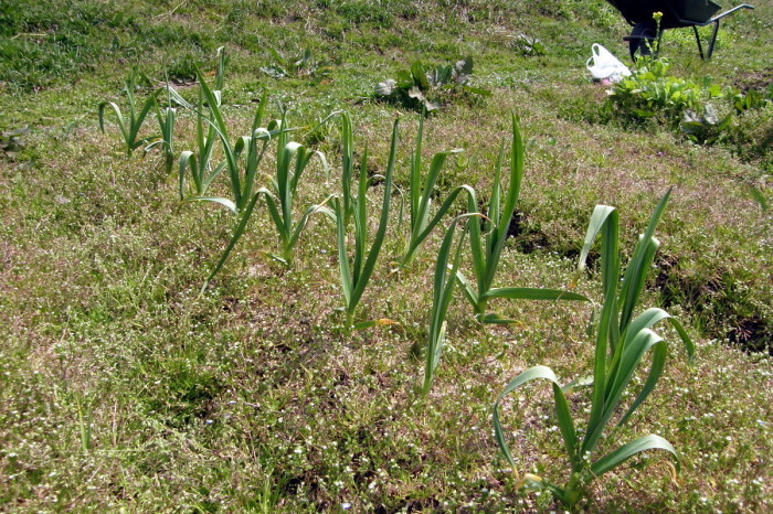 c0057390_19531316.jpg