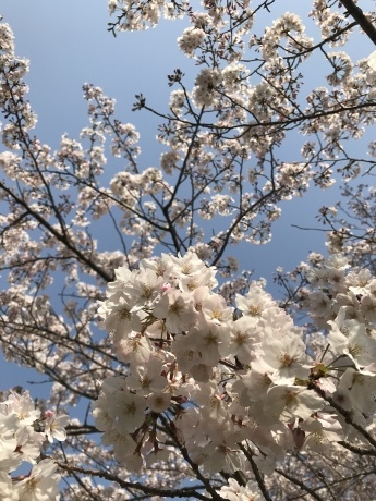 f0314690_17010147.jpeg